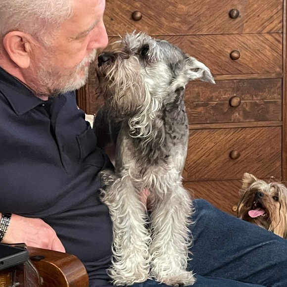 Meet your Posher, Lorry - Picture 7 of 7